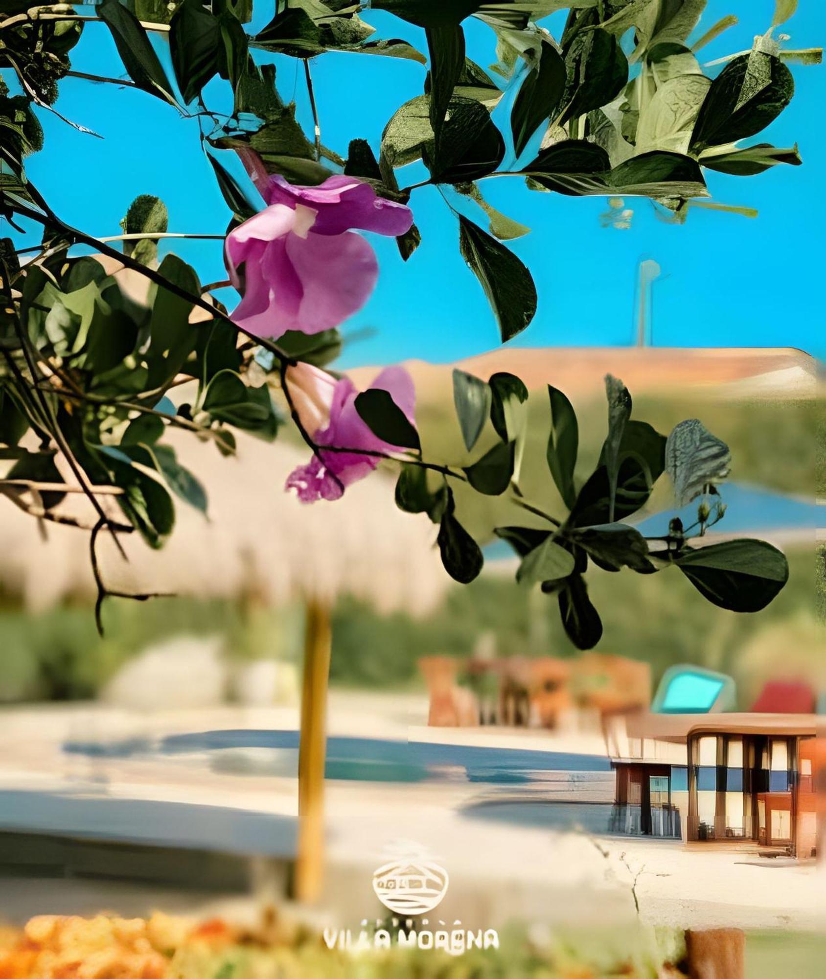 Pousada Villa Morena Pôrto de Pedras Dış mekan fotoğraf
