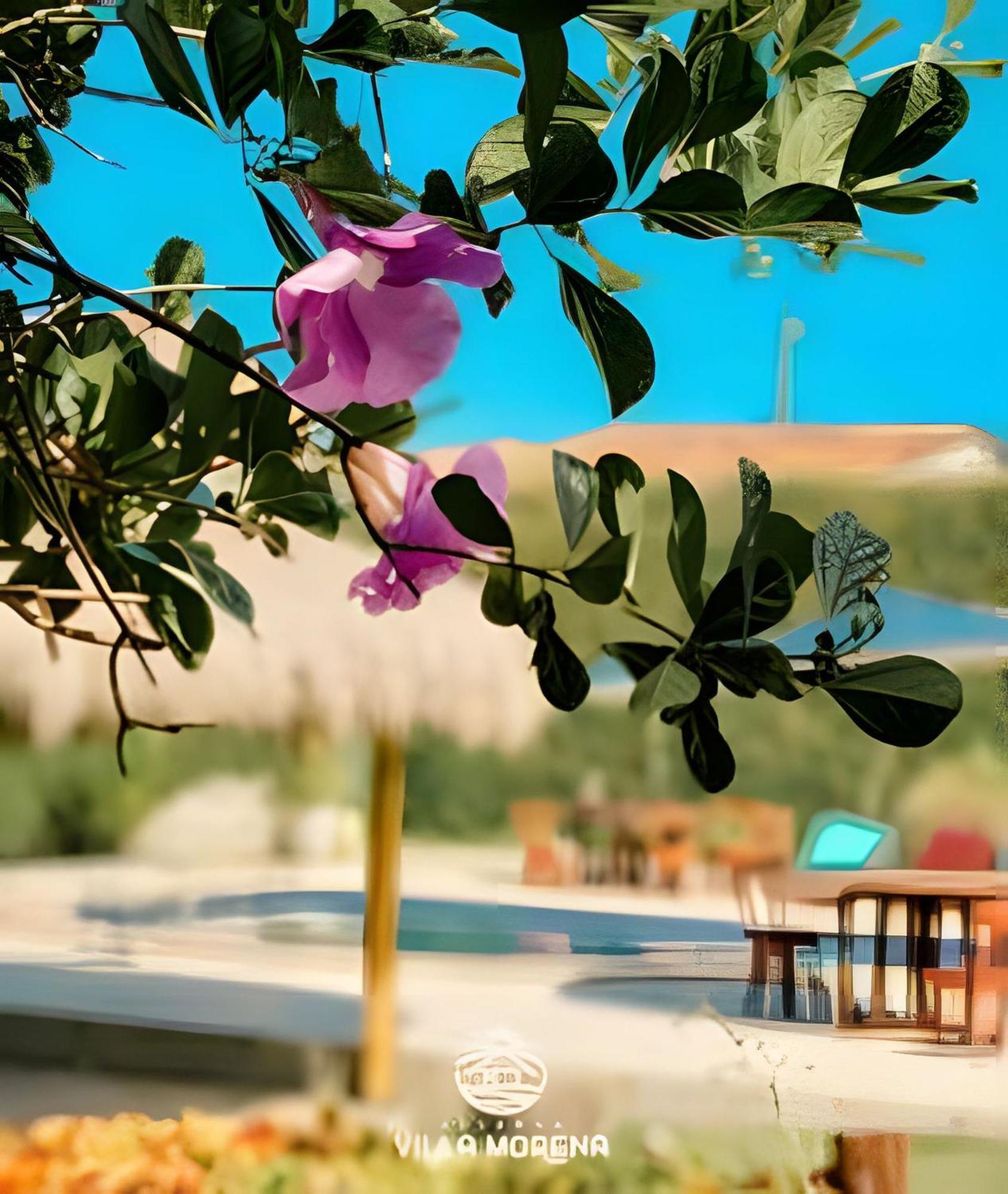 Pousada Villa Morena Pôrto de Pedras Dış mekan fotoğraf